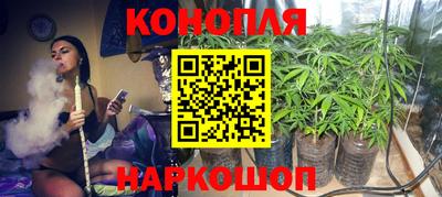 дмт Дубна