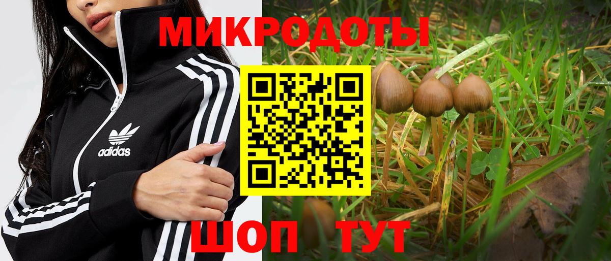 купить закладку  Вход с VPN  Лянтор  Галлюциногенные грибы мухоморы 