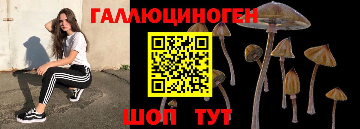 Псилоцибиновые грибы мухоморы Лянтор